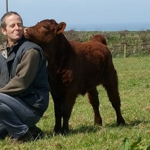 Image of who Treathro Farm is
