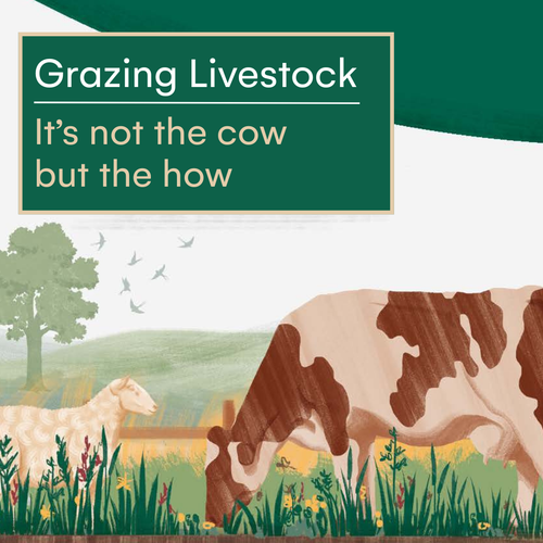 Sustainable Food Trust Report