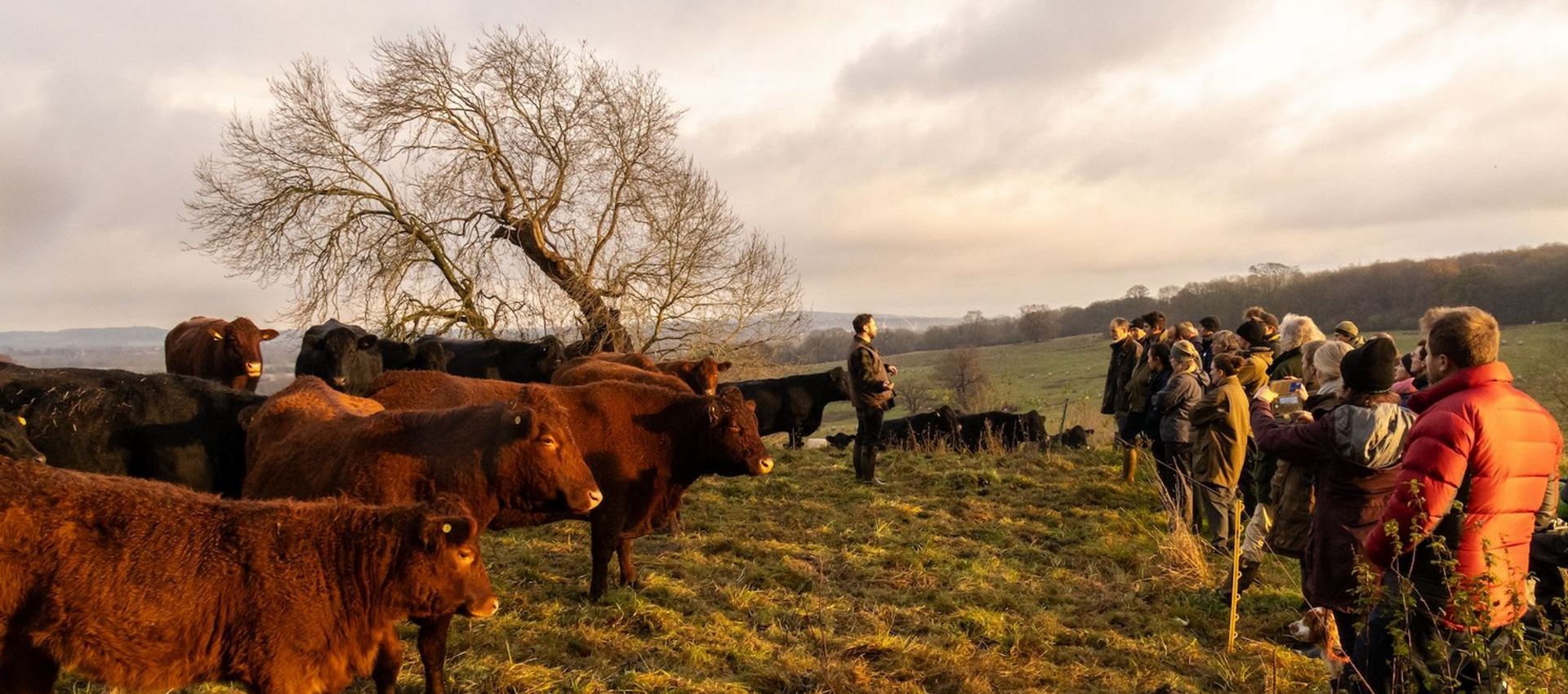 Event for member on farm