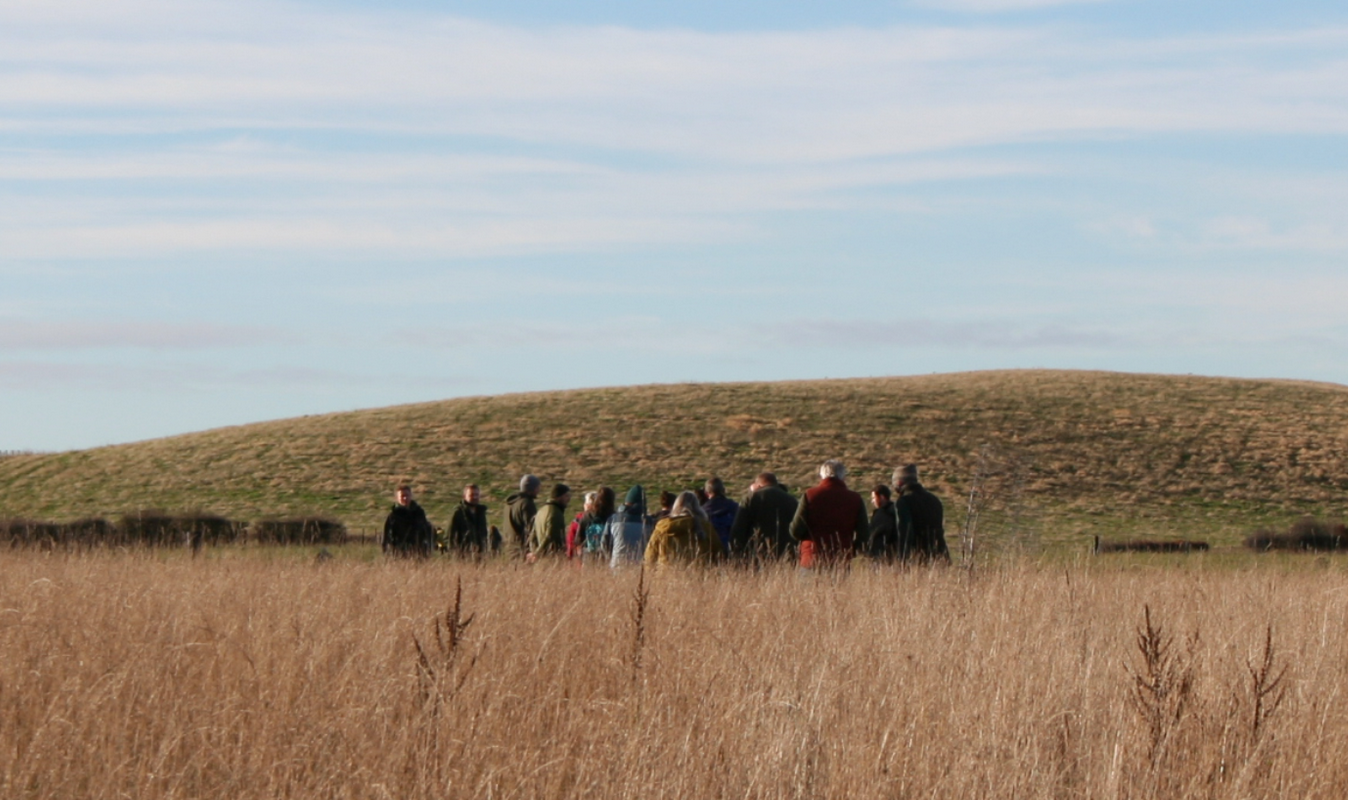 Group in field