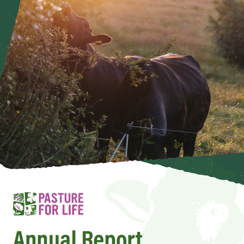 Annual Report 2024-25