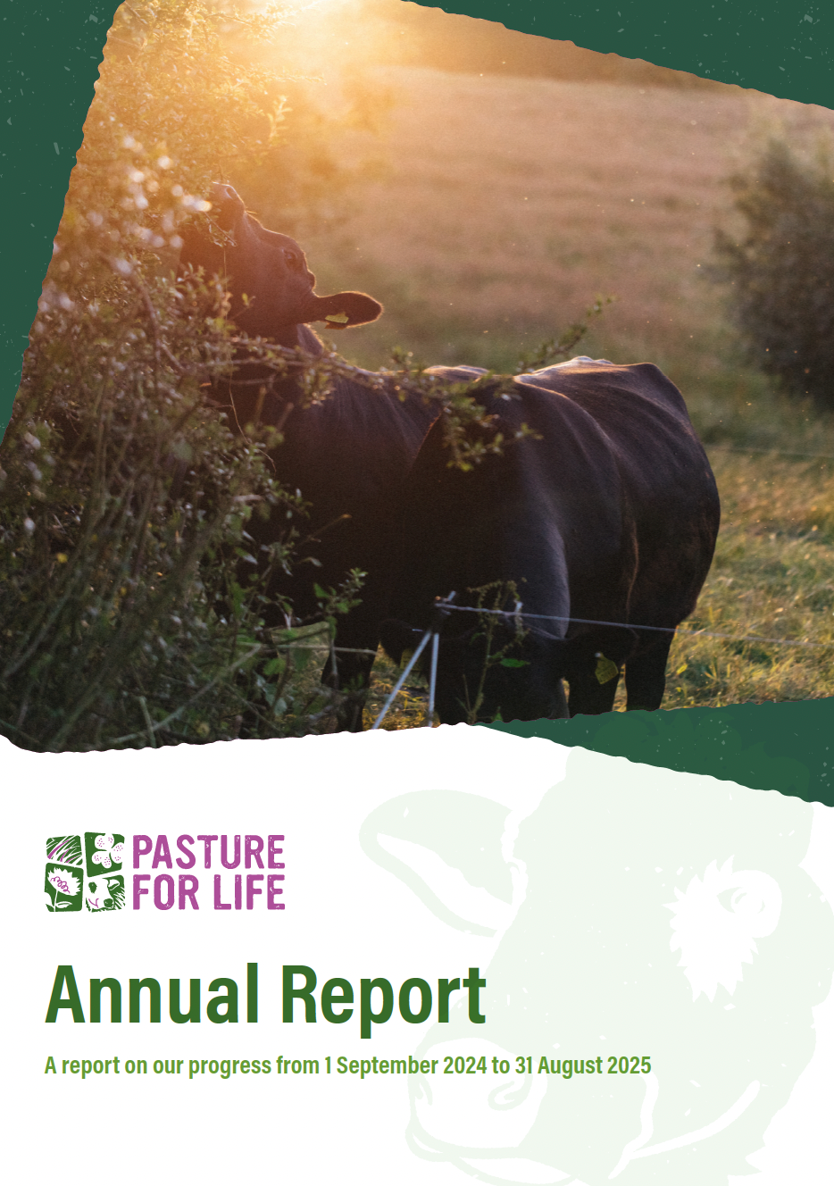 Annual Report 2024-25