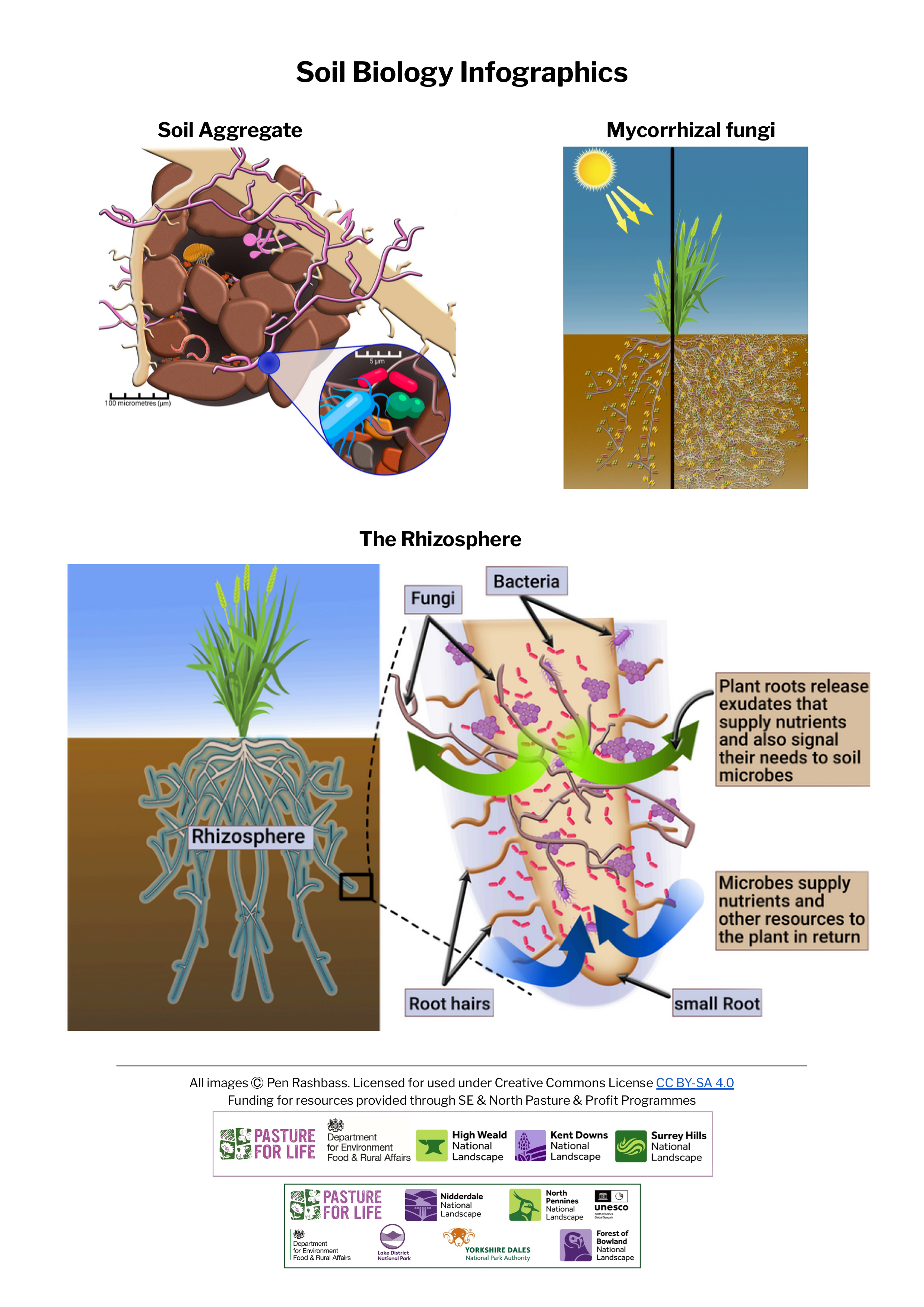 Soil Biology Infographics