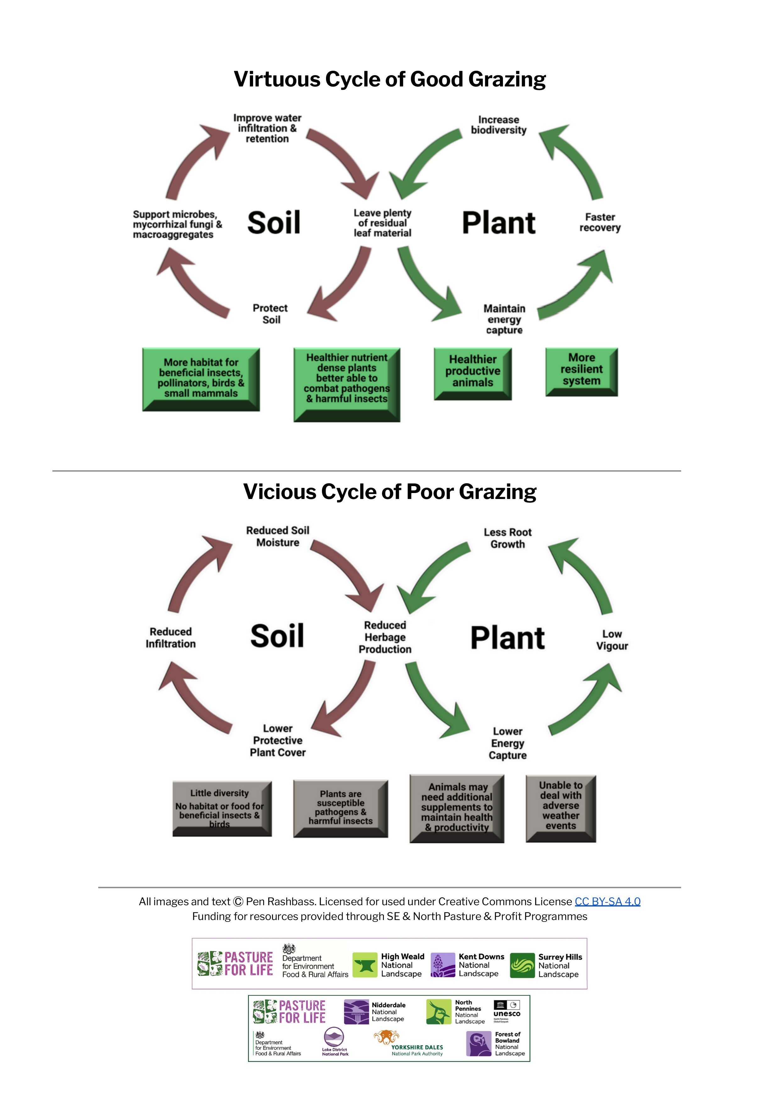 Soil and Plant Cycles - Poor Grazing vs Good Grazing