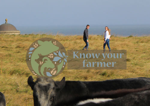 Seaview Farms main image