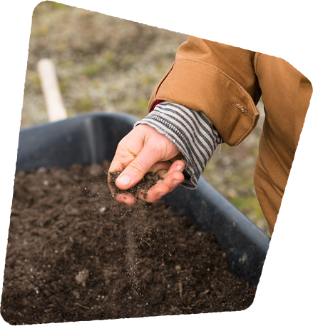 Soil