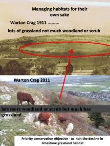 Bill and Cath Grayson, Morecambe Bay Conservation Company - Slide13