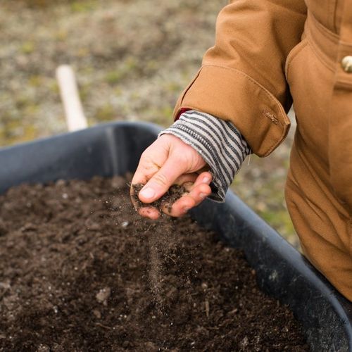 Soil