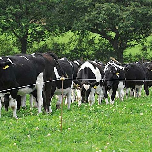 meta image for Infrastructure Unpacked: The Equipment I Need to Graze