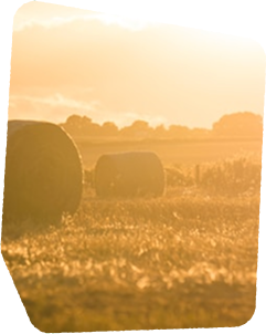Sustainable farming