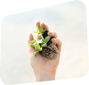 Sustainable farming