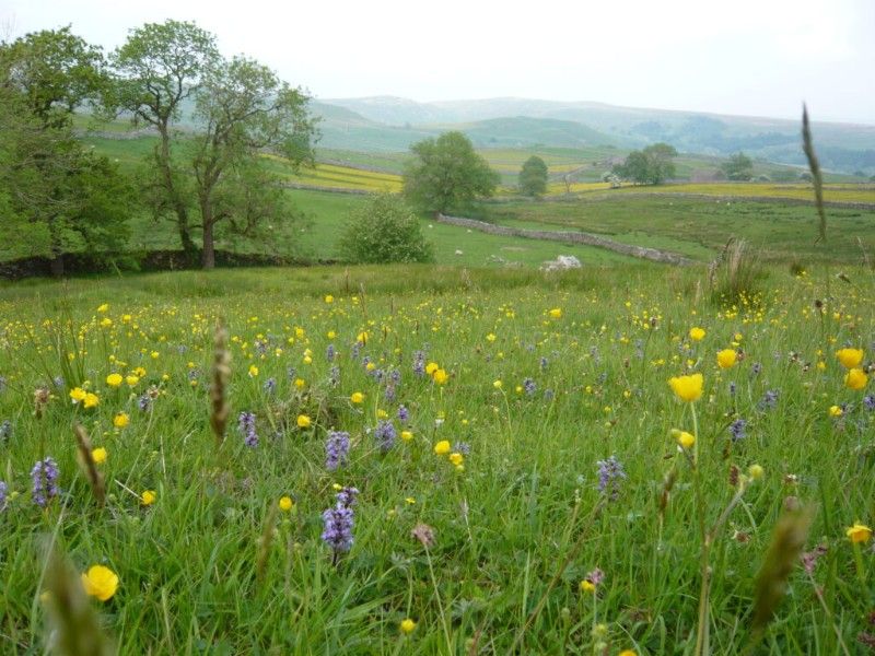 Hill Top Farm - image00007-1