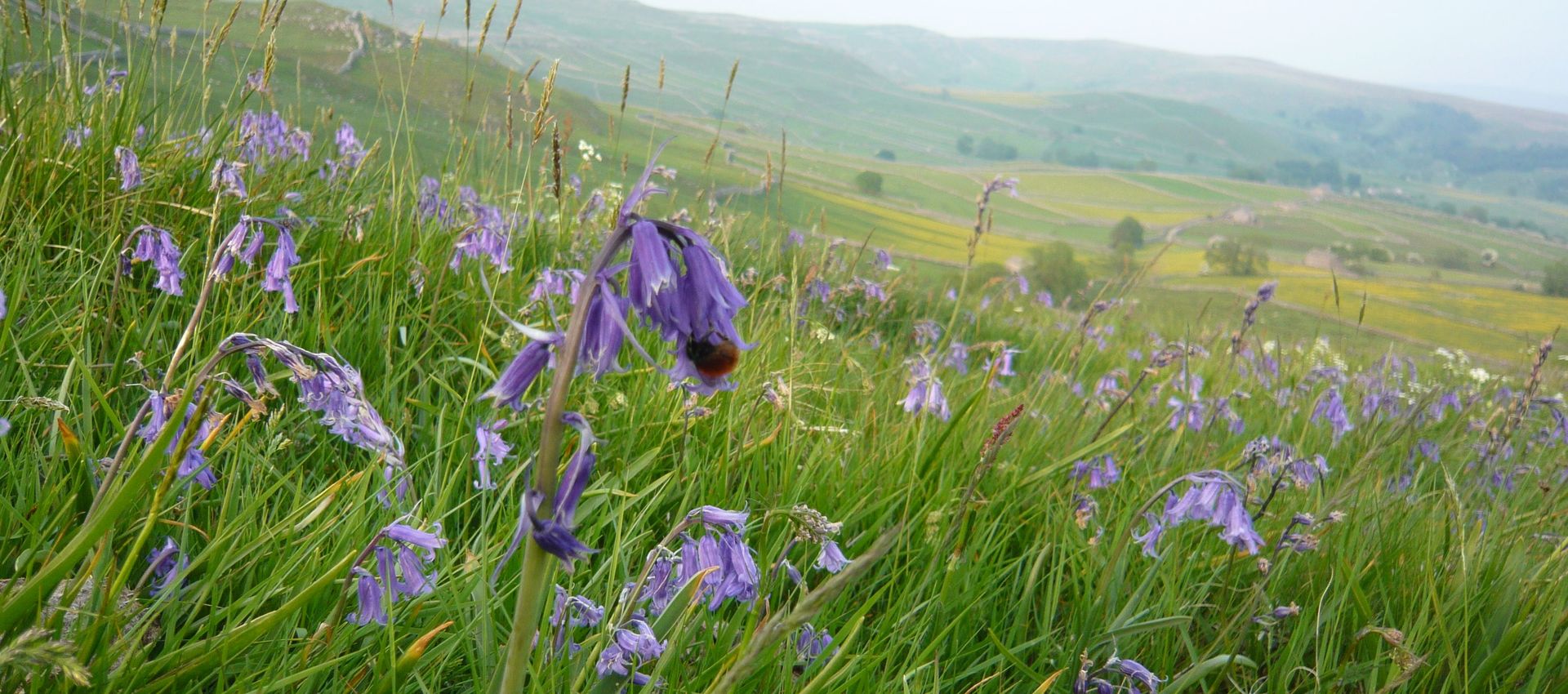 Hill Top Farm