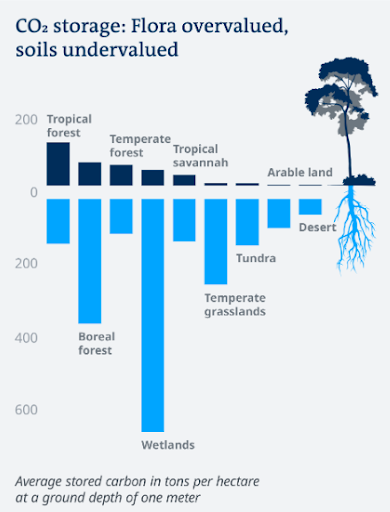 CO2 storage