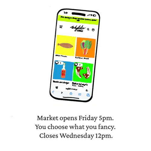 Image of who Wylde Market Limited is